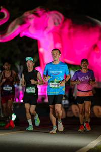 BIB: 
                            <button type="button" onclick="openModal(26533715)" class="btn btn-primary btn-sm float-right btn-popup" data-toggle="modal" data-target=".modal-high-quality">
                        <i class="fas fa-shopping-cart"></i> Add to Cart
                    </button>
                                            <button type="button" onclick="isThisMe(26533715, true)" class="btn btn-success btn-sm float-right btn-popup btn-isme hidden" data-toggle="tooltip" data-placement="bottom" title="นี่คือรูปของคุณใช่ไหม คลิกที่นี่เพื่อเอาเข้าอัลบั้ม">
                        <i class="fas fa-plus"></i> Add to album
                    </button>
                    <button type="button" onclick="isThisMe(26533715, false)" class="btn btn-warning btn-sm float-right btn-popup btn-isnotme hidden">
                        <i class="fas fa-ban"></i> Remove from album
                    </button>